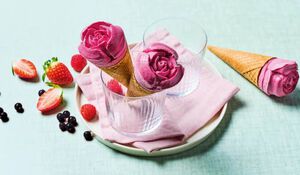 Cones Glaces Cones Glaces Et Sorbets Picard