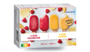 Glace plombières (Tutti frutti) : Recettes de glaces et sorbets