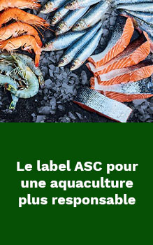 label-asc